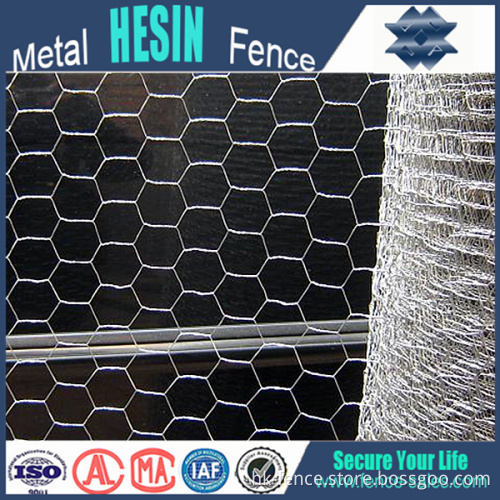 Hot DIP Galvanized Hexagonal Wire Netting